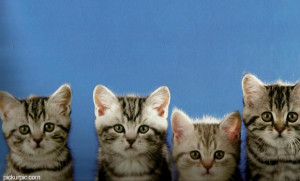 ... Soon Good Morning I Love You Miss You Music Quotes Sorry Thank You