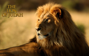 The Lion Of Judah HD Wallpaper Download this free Christian image free ...