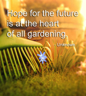 Hope For The Future… Quote