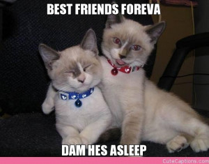 Best Friends Foreva Dam Hes