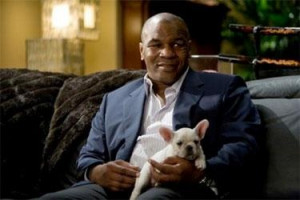 Mike Tyson's Frenchie from The Hangover