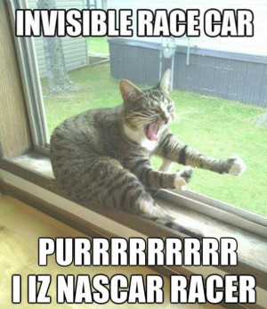 Funny Humor 2014 Racer Cat