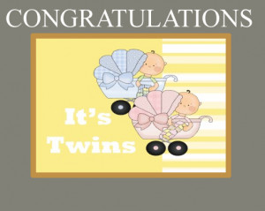 Twin Quotes Boy And Girl The twins are a boy and a girl