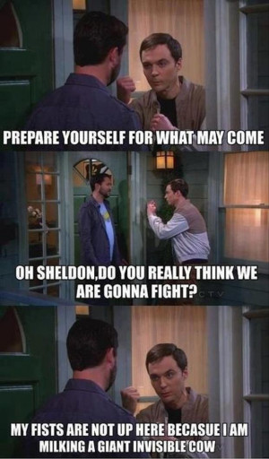 Funny Big Bang Theory Pictures - Sheldon Cooper fighting