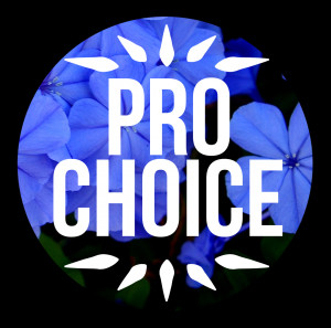 Pro Choice Arguments Cool Pro Choice Or No Voice Submit Your Abortion ...