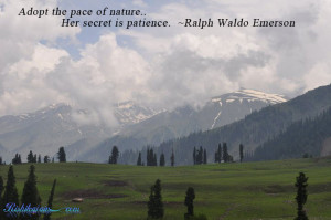 Nature Quotes, Ralph Waldo Emerson Quotes, Pictures,Patience Quotes ...