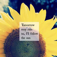 Sun quote. The Beatles. Sunflowers sun quote