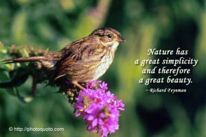 ... : Beautiful Nature Quotes And Sayings , Nature Quotes About Life