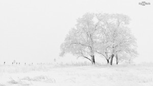 snow winter landscape HD Wallpaper