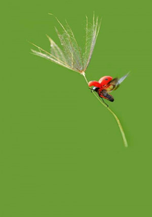 ... expects it to change. The Leader adjusts the sails!