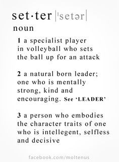 Volleyball setter- cute definition