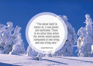 Great Quotes About Snow (25 pics)