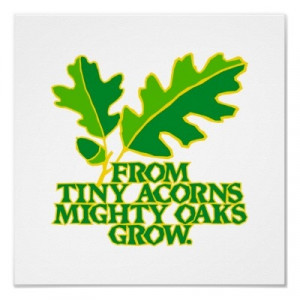 Tiny acorns to mighty oaks