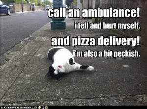 funny-pictures-call-an-ambulance-and-pizza-delivery.jpg