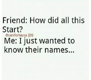 fun, funny, kpop, quote, quotes