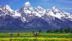 The Yellowstone National Park in Wyoming, USA - Panoramic setting ...