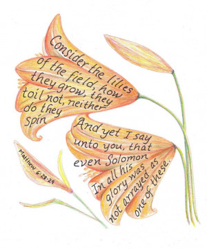 Consider the lilies drawing inspirational bible by LindaRobbsArt One ...
