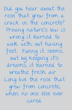 This poem had meant so much to me The Rose that grew from concrete ...