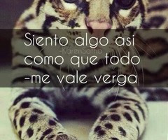 imagenes de corridos vip source http weheartit com tag corridos vip