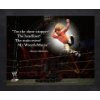 22x76) WWE Wrestling Shawn Michaels 2013 Wall Decal Sticker