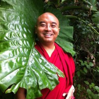 Ability to Fly ~ Mingyur Rinpoche