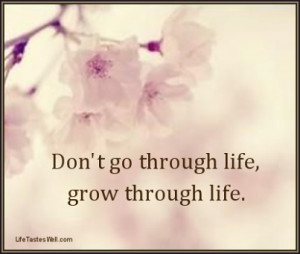 Life Quotes – Don’t go through life, grow through life.