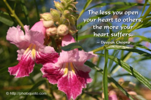 ... your heart to others, the more your heart suffers. ~ Deepak Chopra