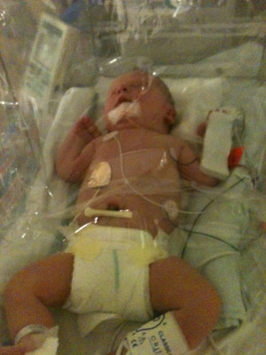 Funny Quote Quotes Photo