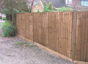 privacy fence landscaping