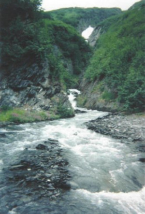 ... Mountain Stream 332 x 491 · 34 kB · jpeg, Winter Mountain Stream