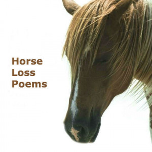 Ron Robinson talks about horse loss poems