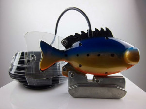 Underwater fish finder video camera, underwater fishing camera