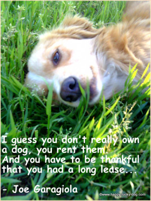 grief quotes about dogs, I guess you don't really own a dog, you rent ...