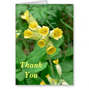 Cowslip Gifts Shirts Posters Art And More Gift Ideas