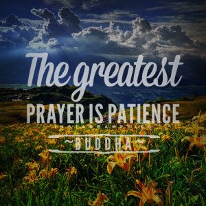 ... Greatest Prayer Is Patience Buddha Quote graphic from Instagramphics