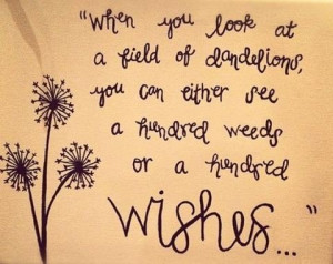When you look at a field of dandelions ...