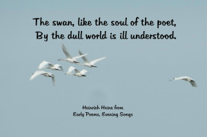 Bird Flying Quotes Flight