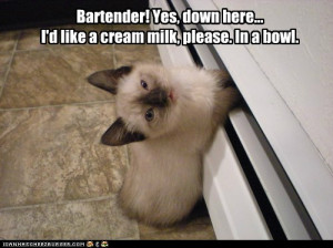 Go Back > Pix For > Thirsty Thursday Water Quotes