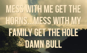 mess with me get the horns mess with my family get the hole damn bull