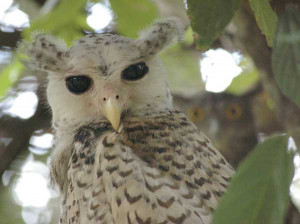 SIGN UP FOR THE NEW UBERHUMOR NEWSLETTER