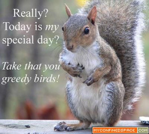 January 21st is Squirrel Appreciation Day. Don’t let lesser holidays ...