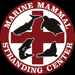 marine mammals rock marine mammal stranding center benefit at stone ...