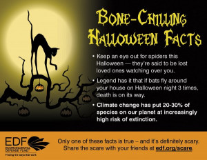 Bone-chilling Halloween facts: Spiders, bats, and climate change, oh ...
