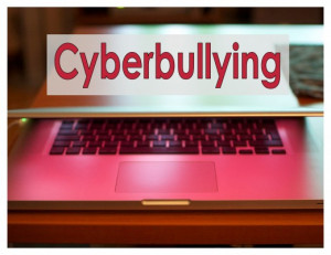 Adult Cyberbullying