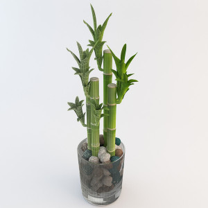 ... Pictures 3d model of lucky bamboo 2 lucky bamboo 2 by 3d molier