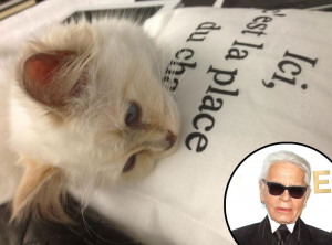 Karl Lagerfeld Twitter, Choupette