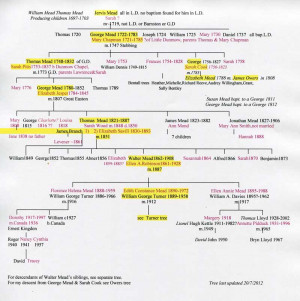 General George Meade Family Tree