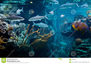 Funny Quotes Contact Us DMCA Notice