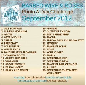 Be sure to post something every day and tag it with #bwrphotoaday.