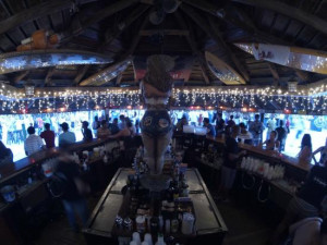 Club Night Wild Party